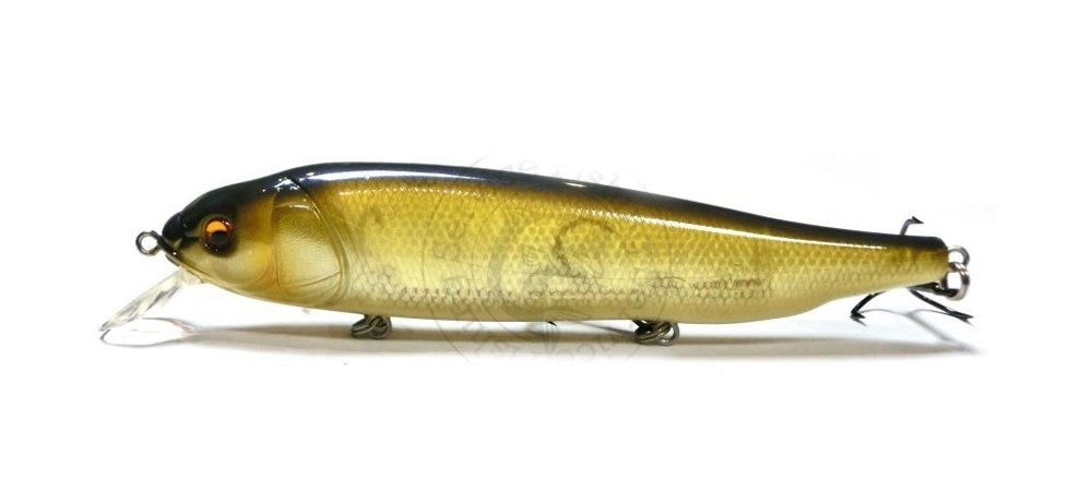 megabass lates silent megabass lates silent