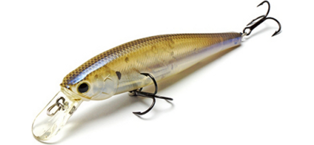  Lucky Craft Pointer 100SP #241 Striped Shad