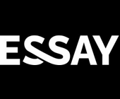 Спиннинги Ares Essay