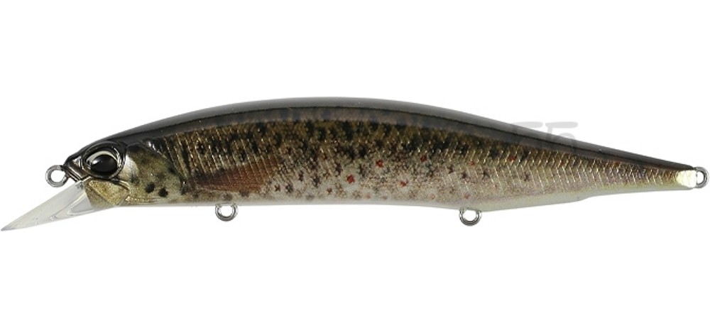 Воблер DUO Realis Jerkbait 120 SP Pike Limited #CCC3815