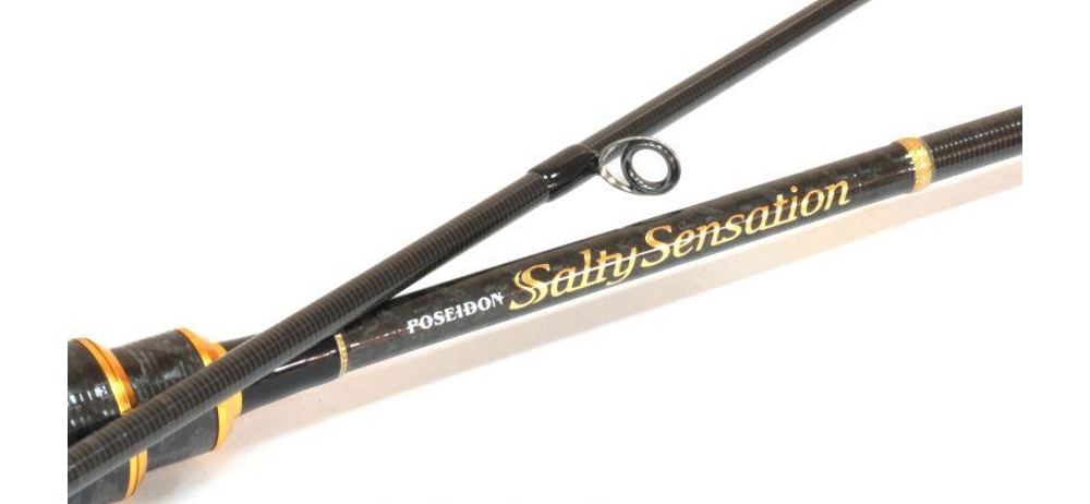 Спиннинг EverGreen Poseidon Salty Sensation PSSS-82T 2.48m 1.5-24gr 3-6lb