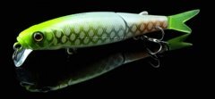 Воблер Jackall Tiny Magallon #Albino Chart Pirarucu- фото2