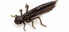 Силикон FishUp Dragonfly 1.7" (8шт) #050 - Green Pumpkin Brown /Red & Purple