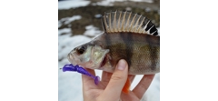 Силикон Sawamura One'Up Shad 2.0