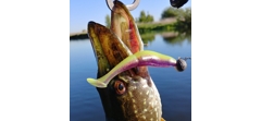 Силикон Sawamura One'Up Shad 2.0