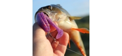 Силикон Sawamura One'Up Shad 2.0
