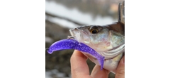 Силикон Sawamura One'Up Shad 2.0