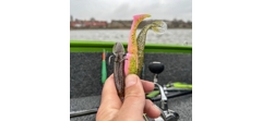 Силикон Sawamura One'Up Shad 6.0