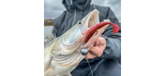 Силикон Sawamura One'Up Shad 6.0
