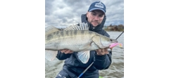 Силикон Sawamura One'Up Shad 6.0