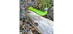 Силикон Sawamura One'Up Shad 6.0
